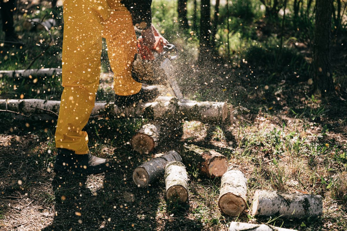 Operator cutting logs with a chainsaw